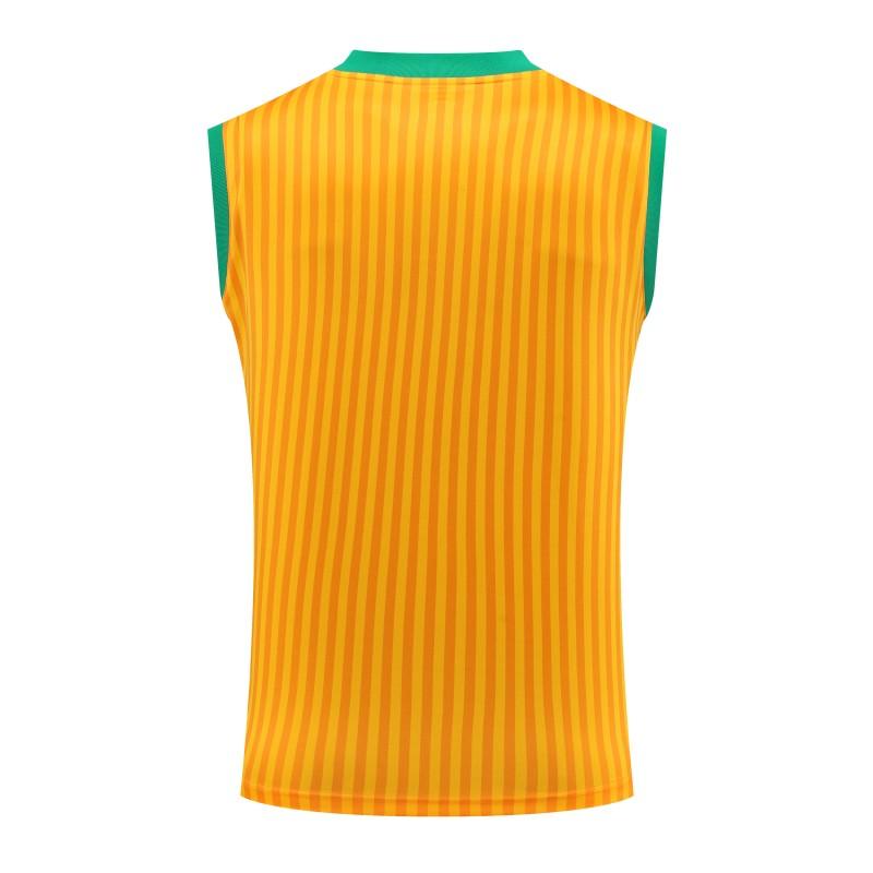 23-24 Bayern Munich Yellow Remake Icon Vest Jersey+Shorts