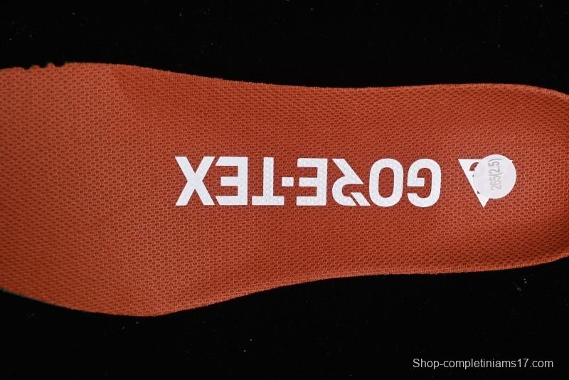 Nike ACG Mountain Fly 2 Low GTX SE Outdoor Hiking Shoes with GORE-TEX and React Foam - HF6245-003