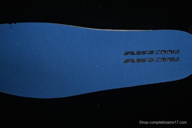 Nike SB Day One Low Top Casual Skate Shoes with Air Zoom Cushion - FN4210-100