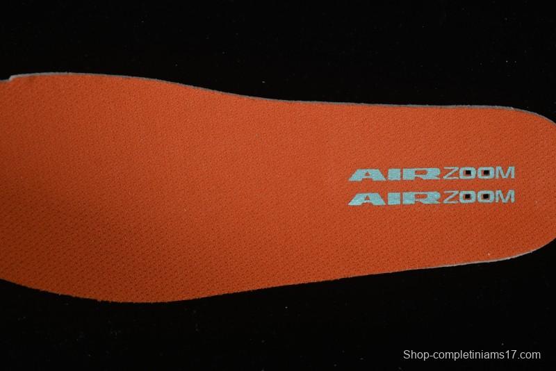 Nike SB Day One Low Top Casual Skate Shoes with Air Zoom Cushion - FN4210-301